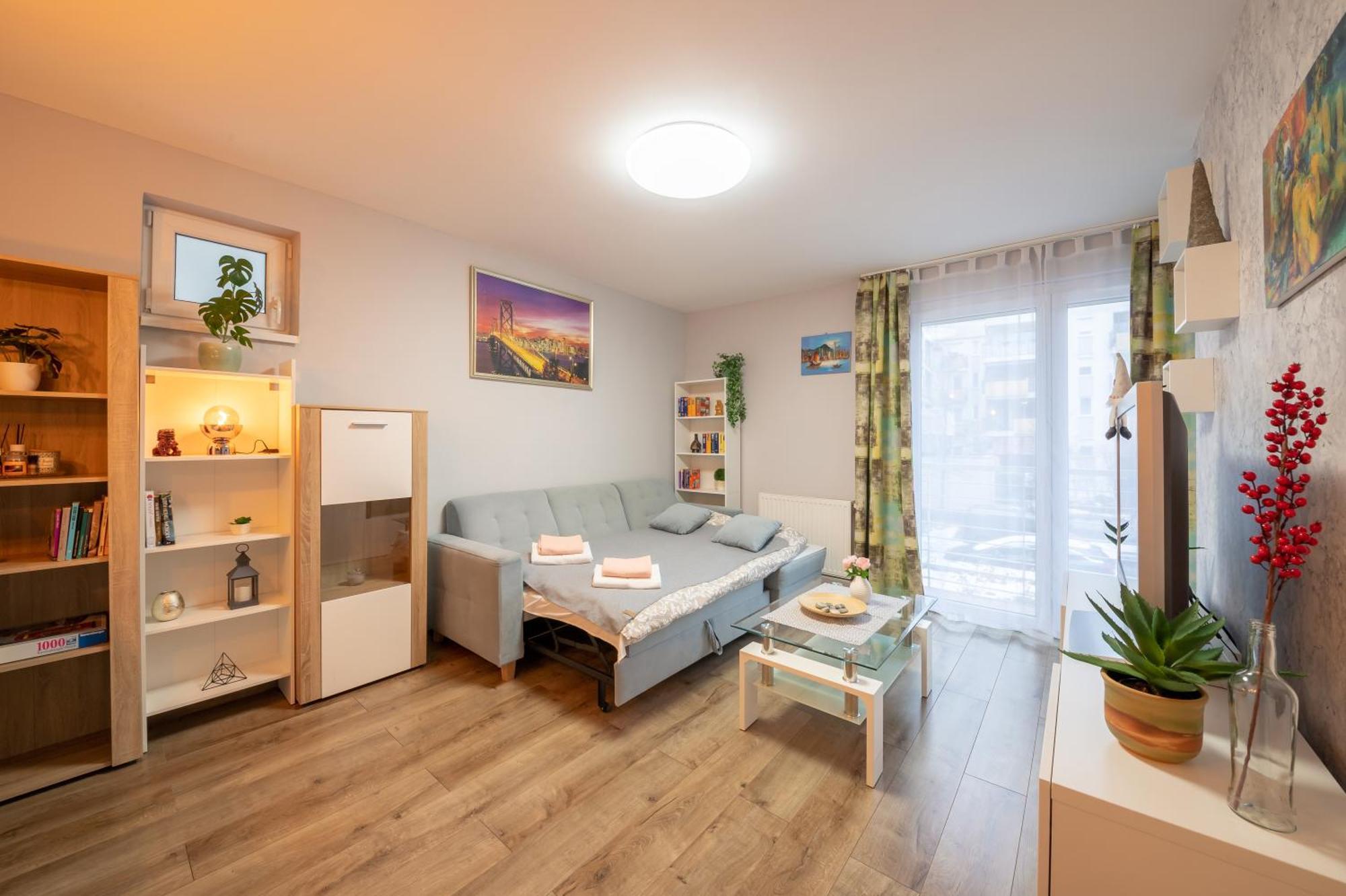 Center Budget Apartment Inside Free Parking Self Check-In Free Streaming Ac Balcony Budapest Kültér fotó
